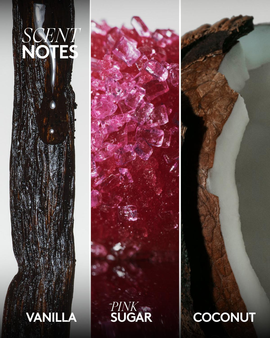 Butta Drop Whipped Oil Body Cream with Tropical Oils + Shea Butter — Vanilla Dream